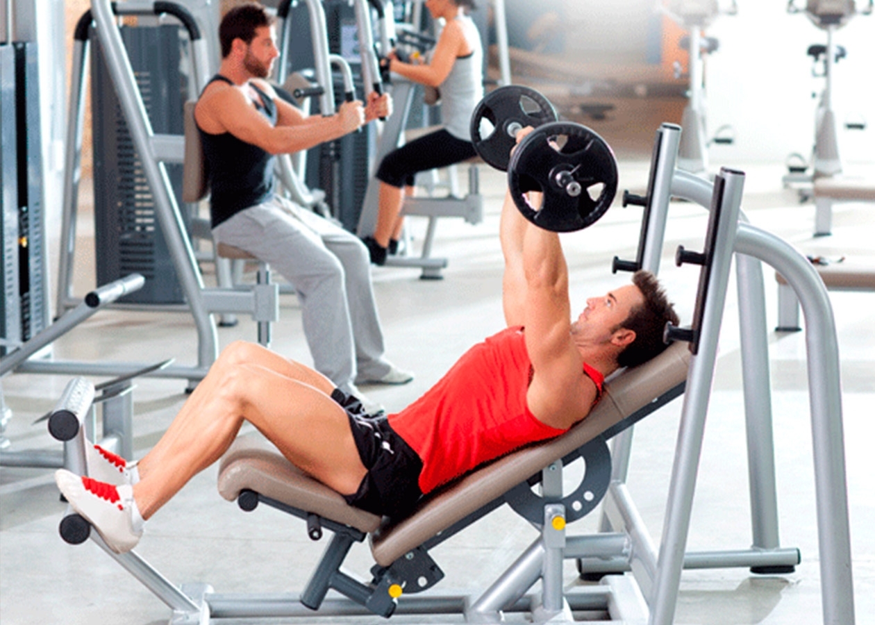 Musculation Musculation