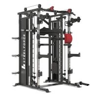 Binom Steel Force B20 Charge à disque, Multigym, Double poulie, Multipuissance, Presse et Accessoires
